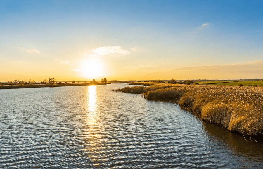 Bodden Ostsee Urlaub Ferienhaus