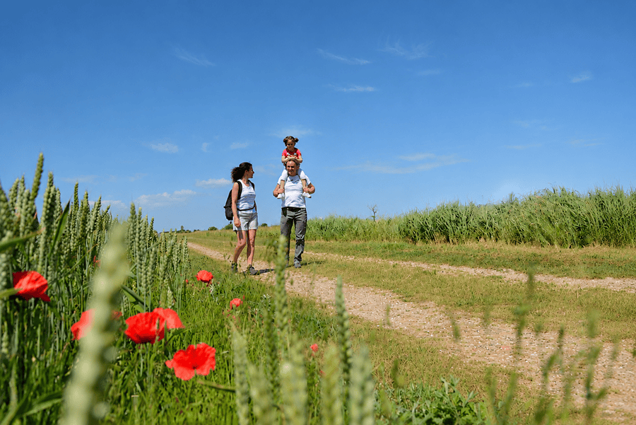 Familie Ausflug Fischland Darss
