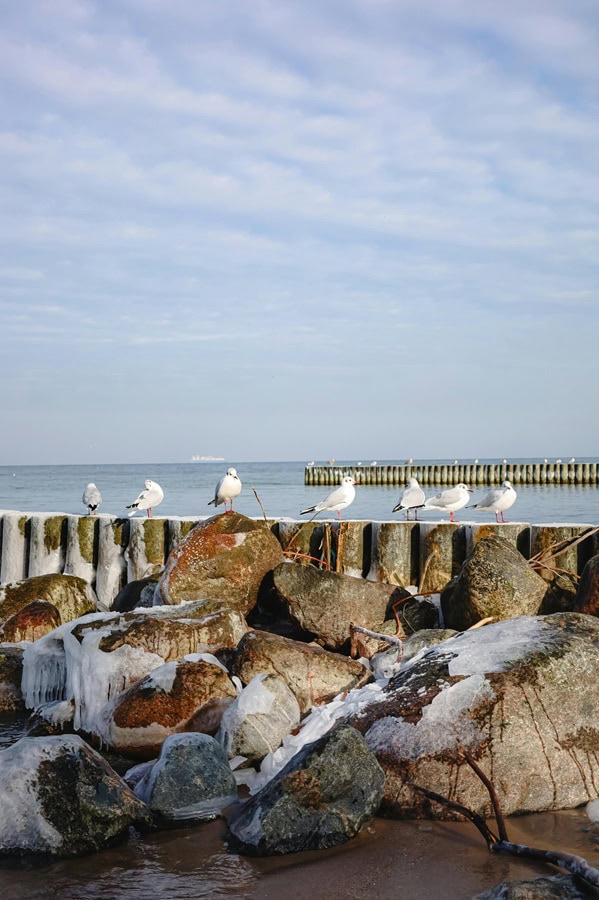 Fischland Darss Winter Urlaub