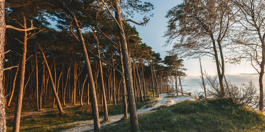 Herbststimmung Ferienwohnung Strandhaus