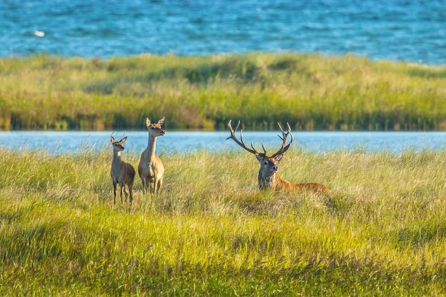 Zingst Ausflug Naturfilmfestival