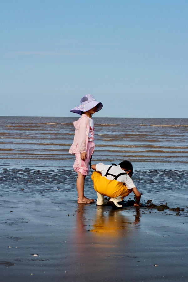 Bernsteinsuchen mit Kindern an der Spüllinie der Ostsee