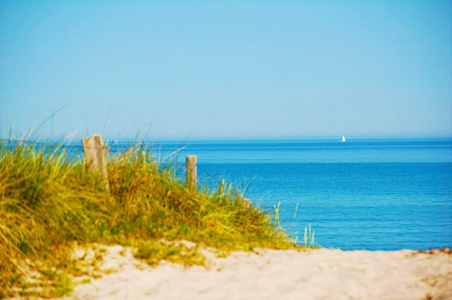 Strandhaus mit Ferienwohnungen hinter der Düne in Dierhagen Strand