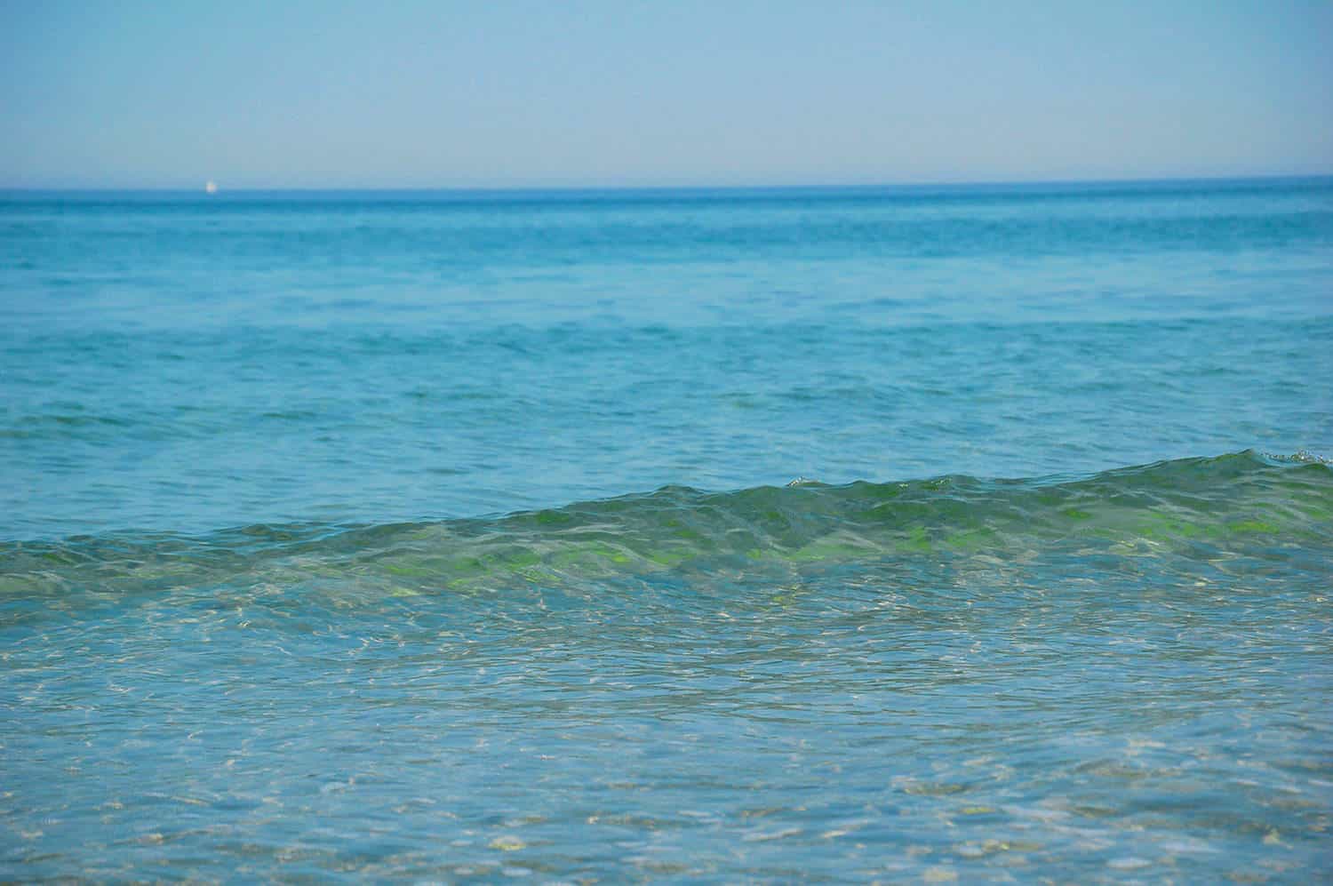 Strand an der Ostsee bei Fischland Darss