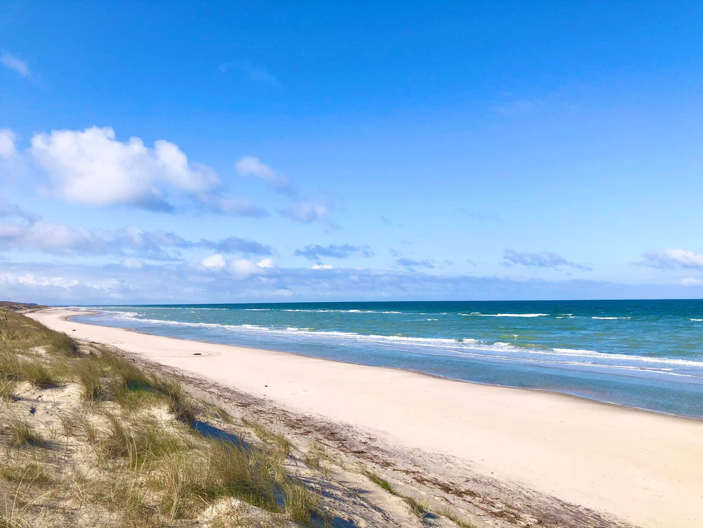 Weiter, feinsandiger Ostseestrand des Ostseebads Dierhagen