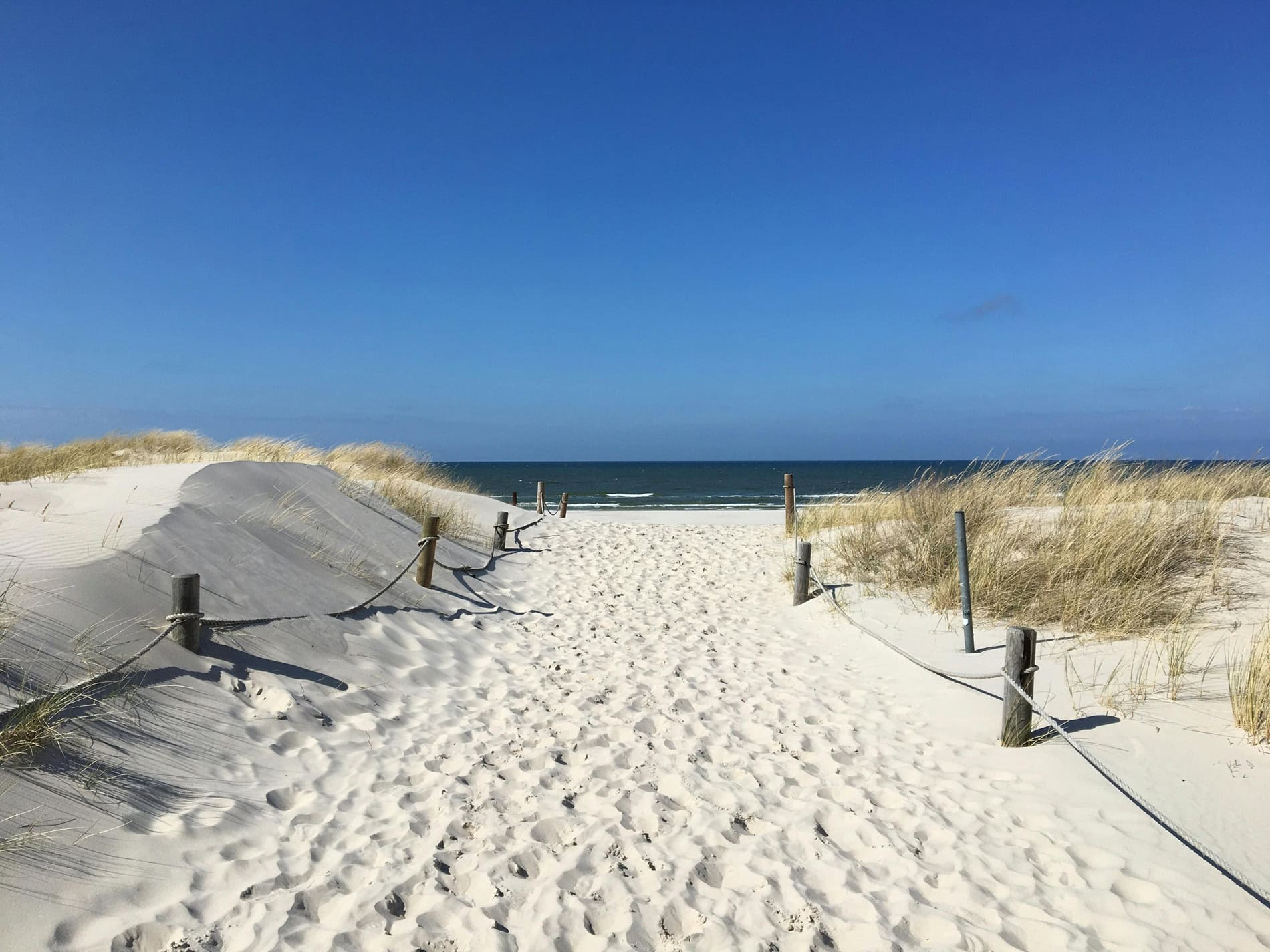 Sonniger Strandaufgang durch die Dünen zur Ostsee im Frühling