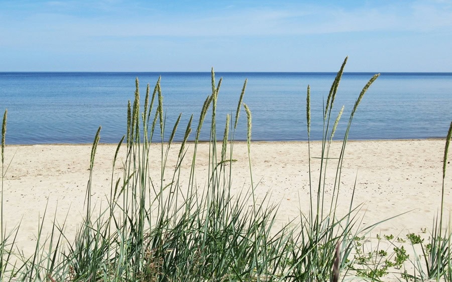 Homeoffice mit Blick auf die herbstliche Ostsee