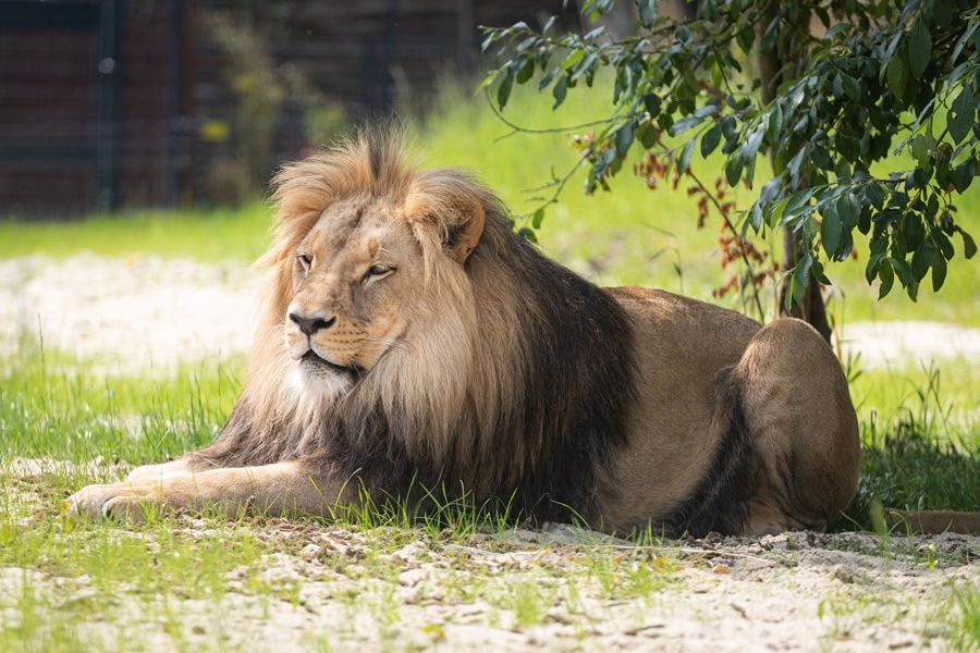 Tierpark und Hansedom Stralsund – Familien-Ausflugsziel ab Fischland-Darß