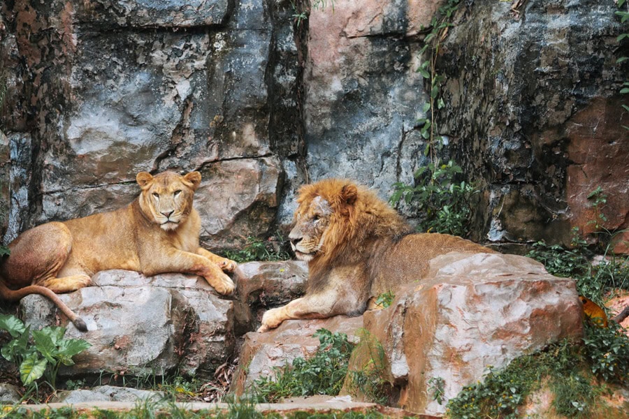 Zoo Rostock – Ausflugsziel für Familien